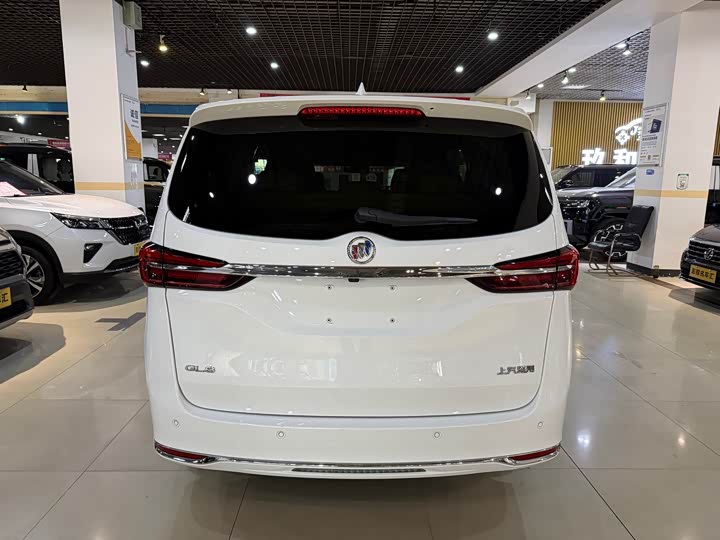 Фото 5 - Buick GL8 ES