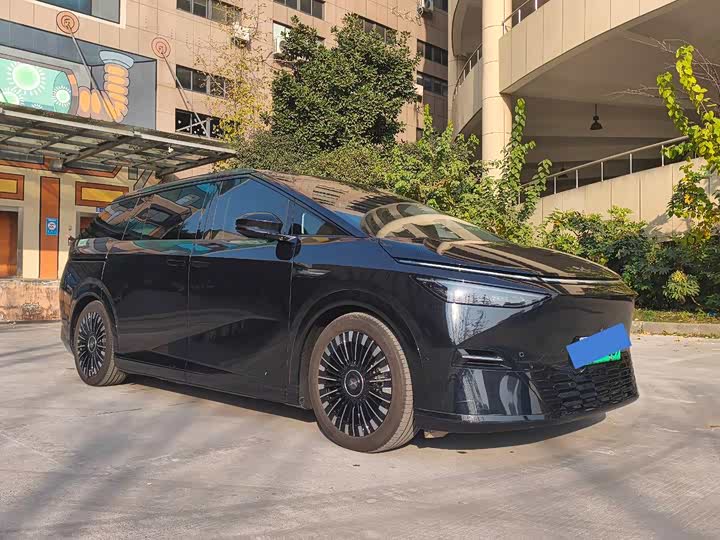 Фото 2 - XPeng X9