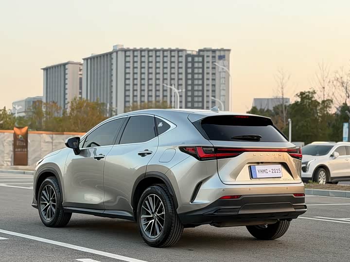Фото 19 - Lexus NX