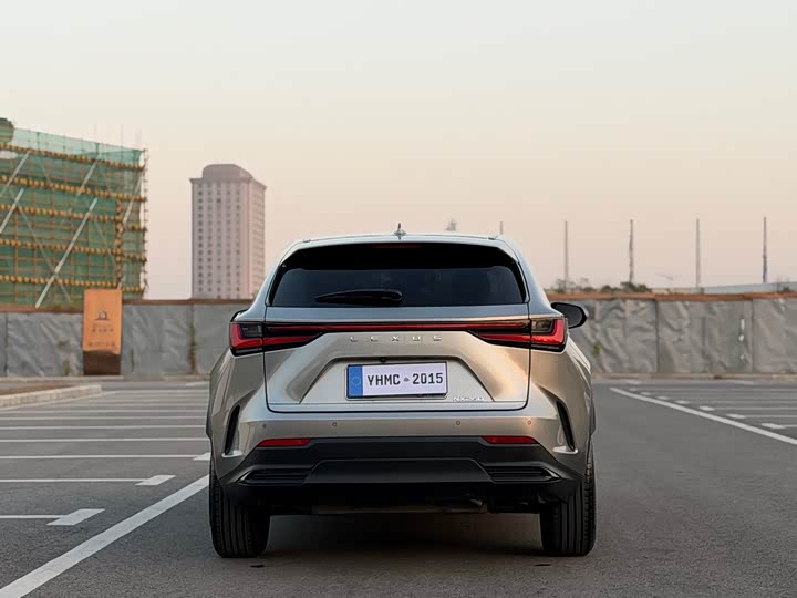 Фото 20 - Lexus NX