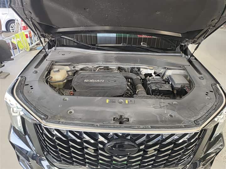 Фото 20 - GAC Trumpchi GS8