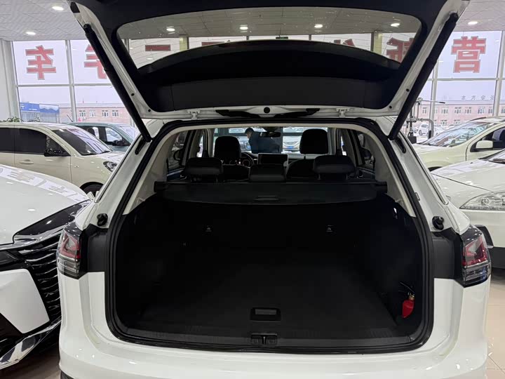 Фото 19 - Volkswagen Tayron