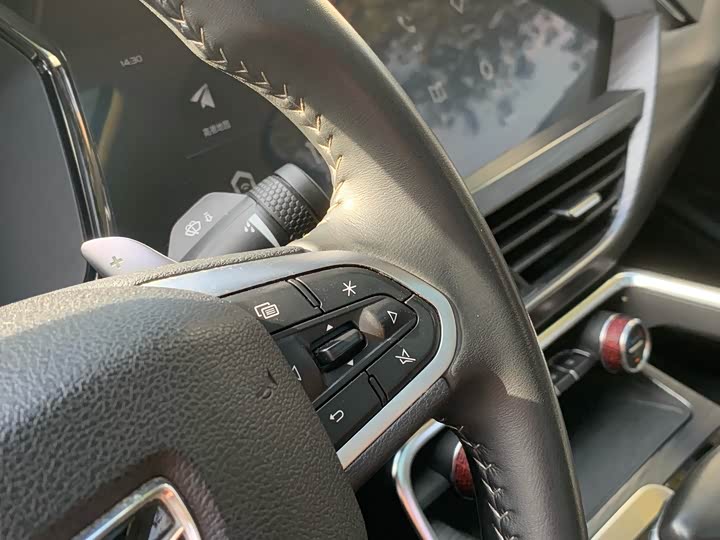 Фото 25 - Geely Tugella