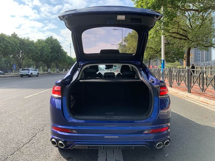 Фото 7 - Geely Tugella