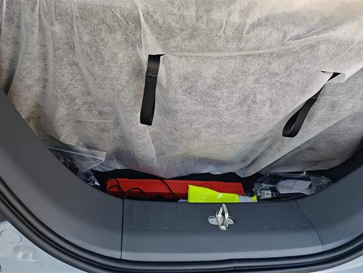 Фото 4 - Geely Galaxy Panda Mini