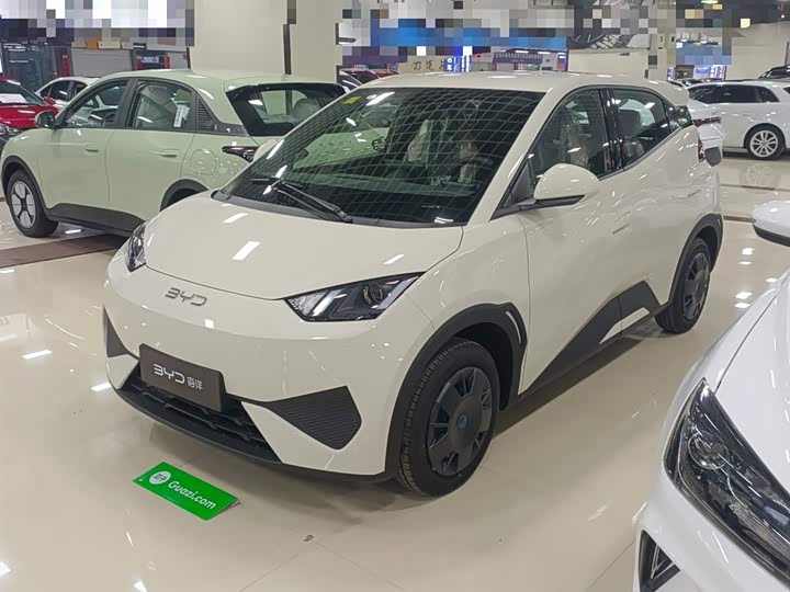 Фото 1 - BYD Seagull