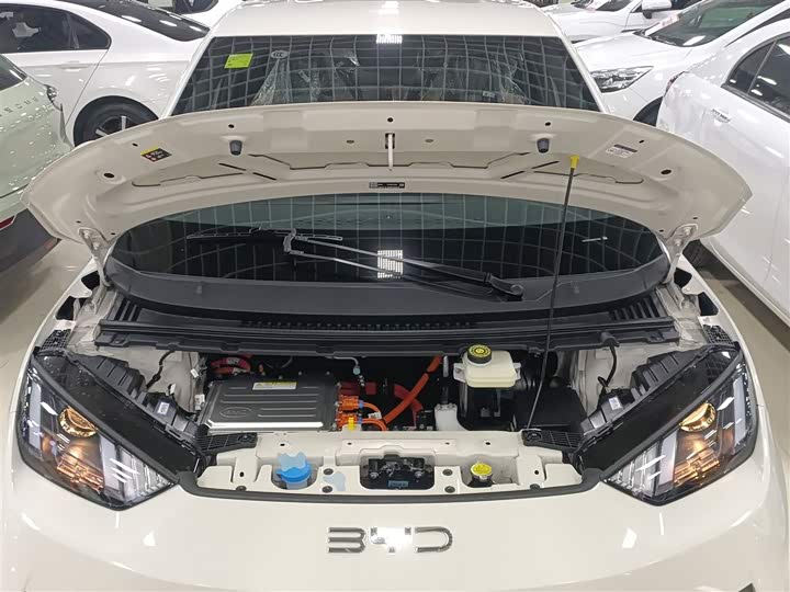 Фото 20 - BYD Seagull