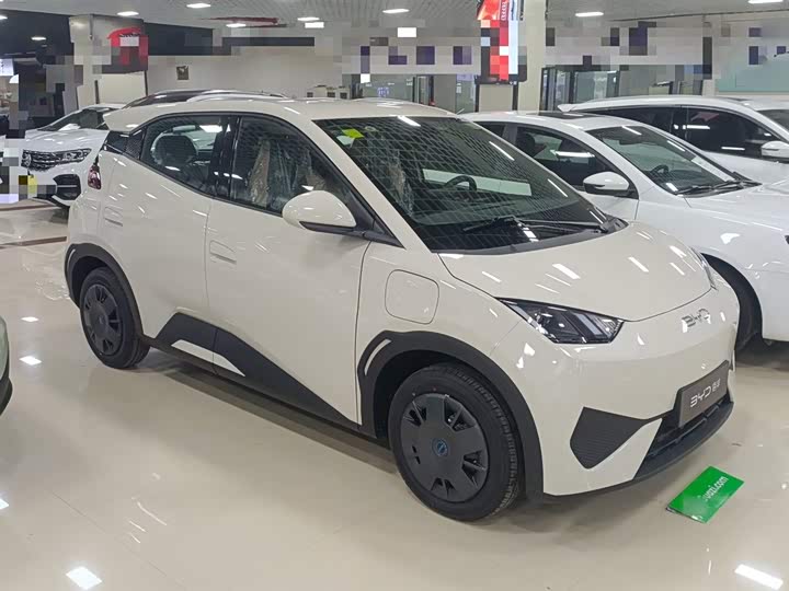 Фото 4 - BYD Seagull