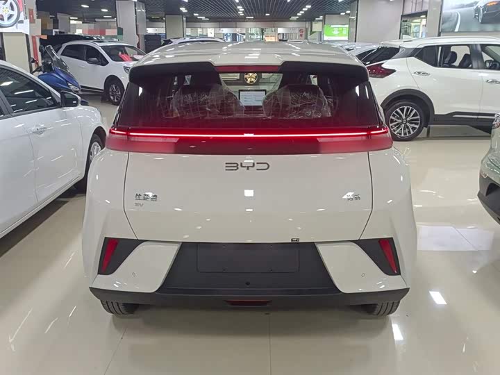 Фото 6 - BYD Seagull