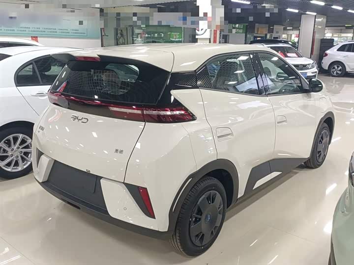 Фото 7 - BYD Seagull