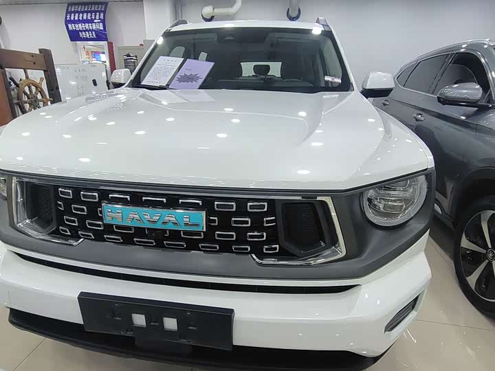 Фото 1 - Haval H-Dog Hybrid