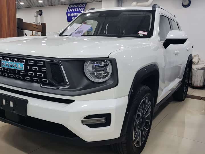 Фото 10 - Haval H-Dog Hybrid