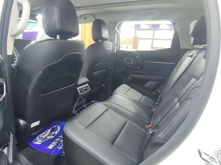 Фото 2 - Haval H-Dog Hybrid