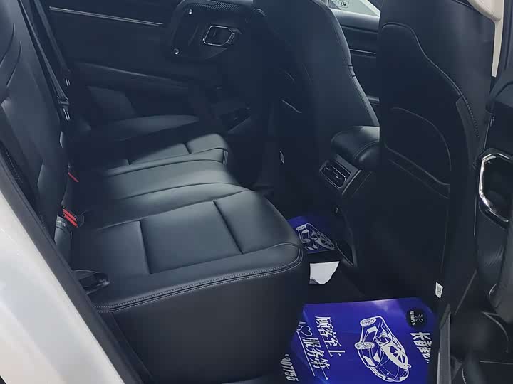 Фото 4 - Haval H-Dog Hybrid