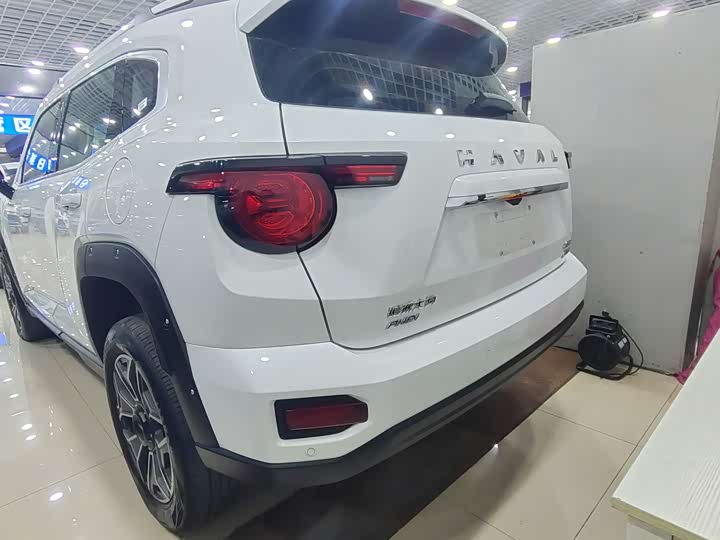 Фото 6 - Haval H-Dog Hybrid