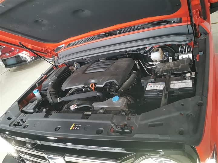 Фото 20 - Tank 300