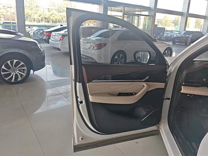 Фото 7 - Geely Monjaro