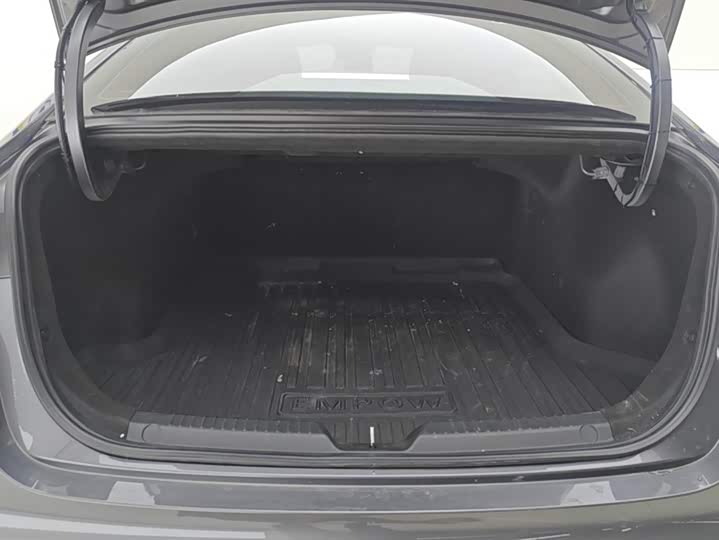 Фото 4 - GAC Trumpchi Empow R