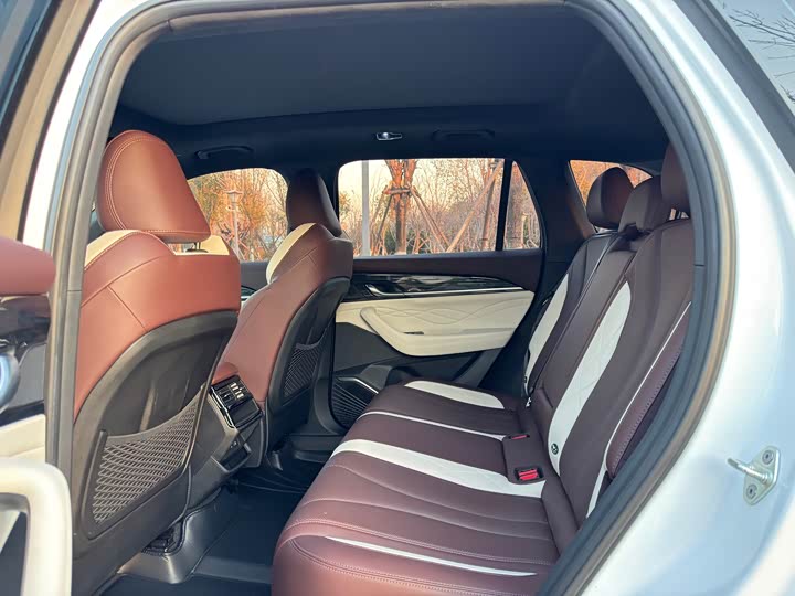 Фото 6 - Geely Monjaro