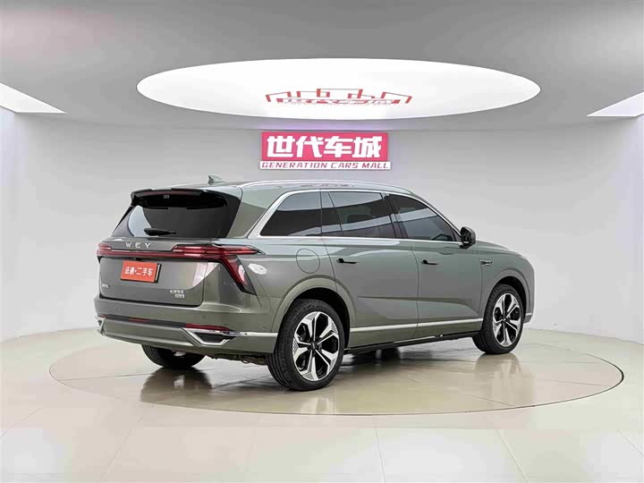 Фото 12 - Wey Lanshan