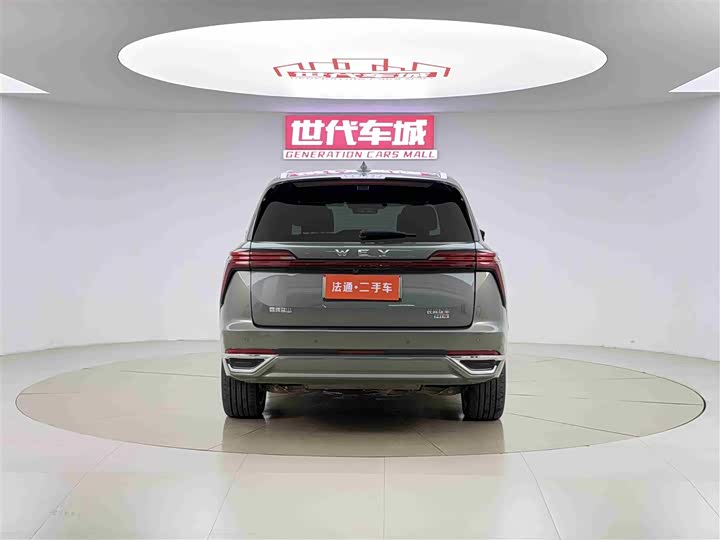 Фото 13 - Wey Lanshan