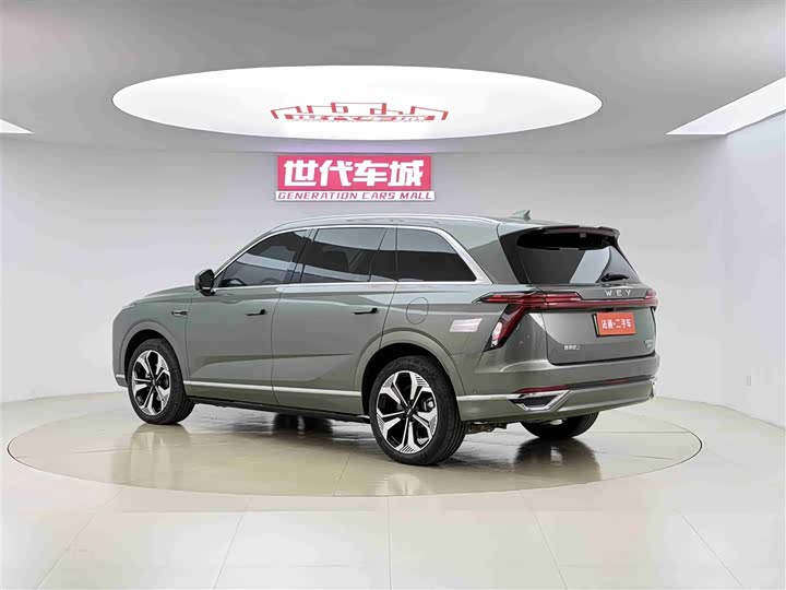 Фото 14 - Wey Lanshan