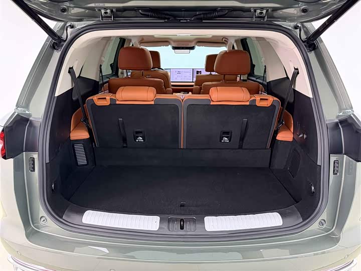 Фото 5 - Wey Lanshan