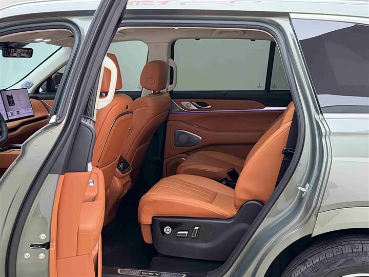 Фото 7 - Wey Lanshan