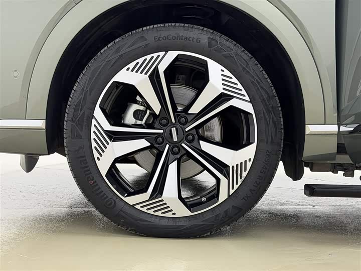 Фото 9 - Wey Lanshan