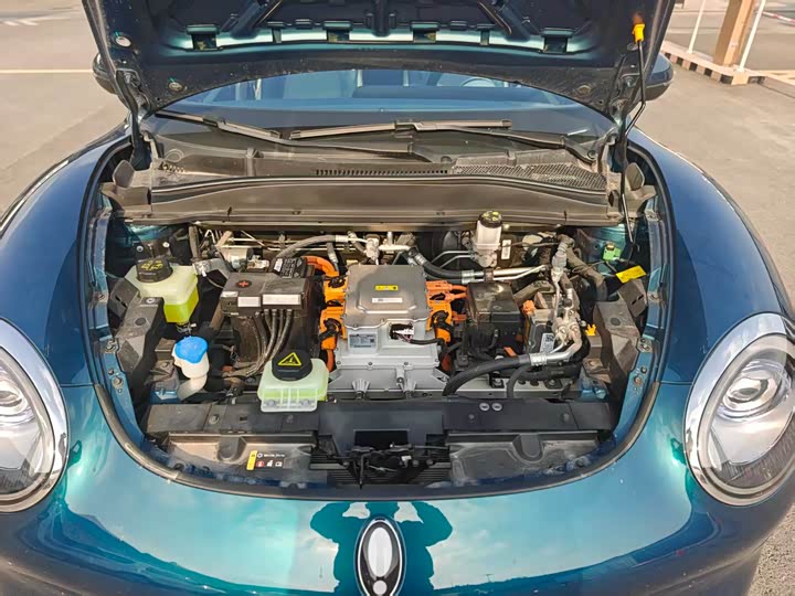 Фото 19 - Ora Good Cat (03)