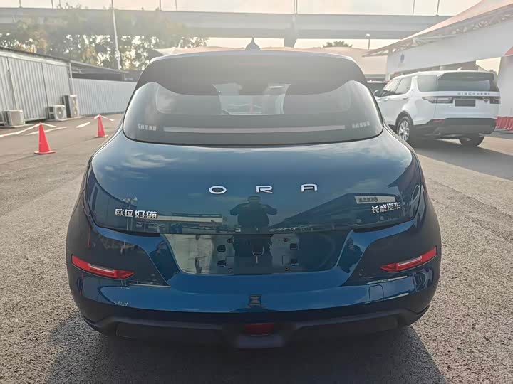 Фото 6 - Ora Good Cat (03)