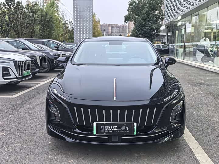 Фото 2 - Hongqi E-QM5