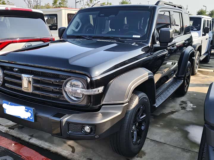 Фото 1 - Tank 300