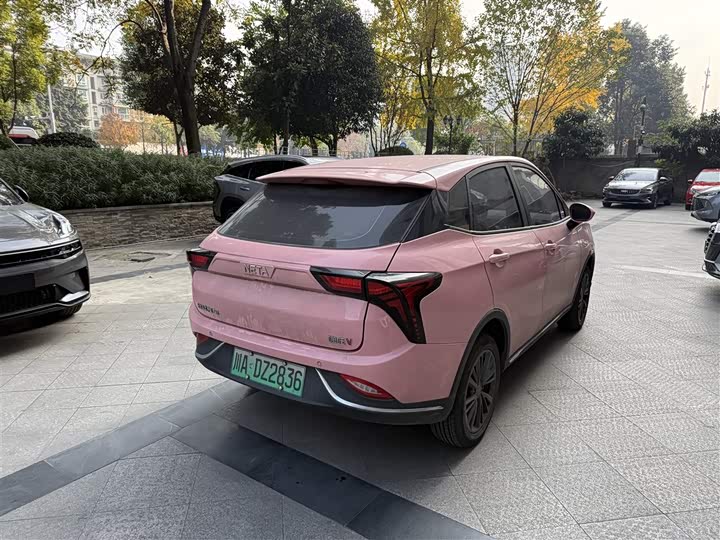 Фото 5 - Hozon V