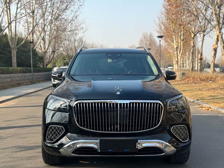 Фото 2 - Mercedes-Benz GLS-Class