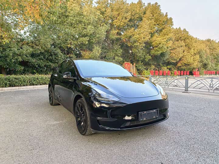 Фото 4 - Tesla Model Y