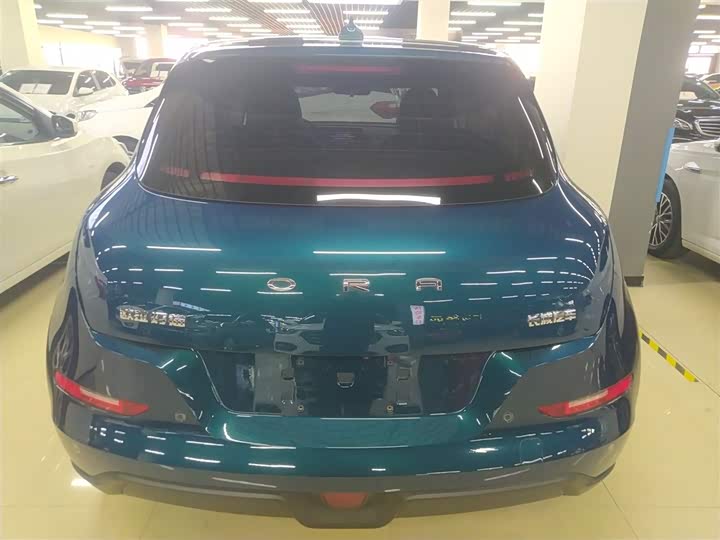 Фото 6 - Ora Good Cat (03)