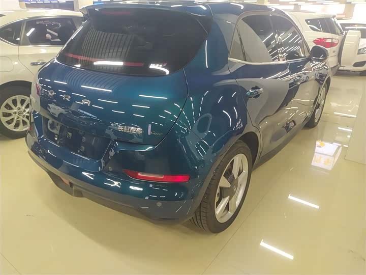 Фото 7 - Ora Good Cat (03)