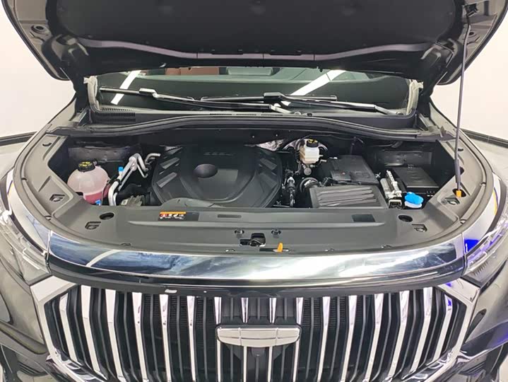 Фото 10 - Geely Okavango L