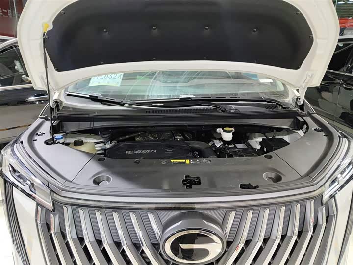 Фото 20 - GAC Trumpchi M8