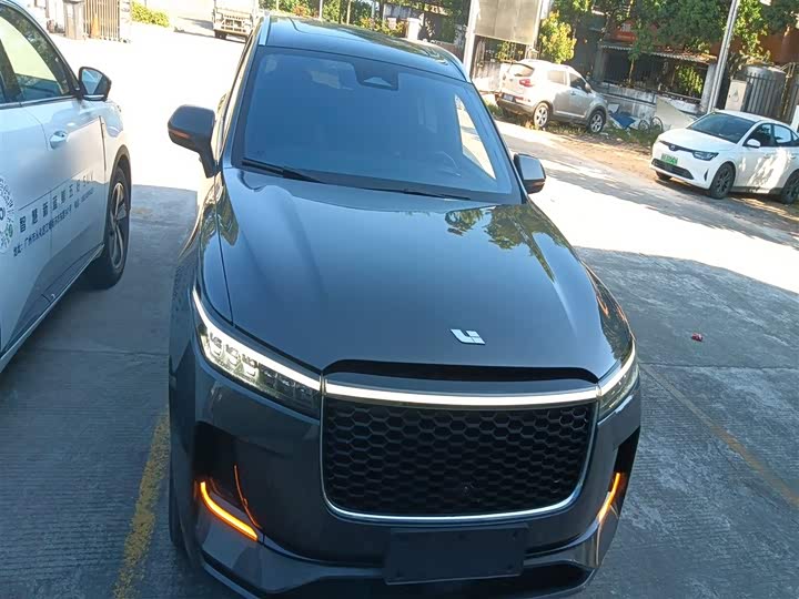 Фото 19 - LiXiang One