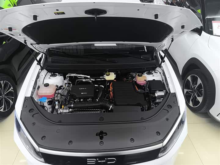 Фото 20 - BYD Sea Lion 05 DM-i Hybrid