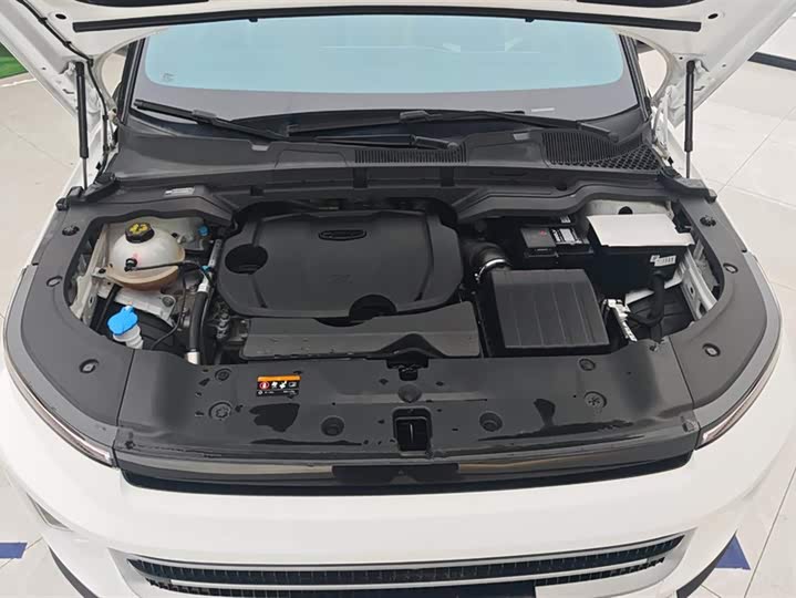 Фото 10 - Geely Icon