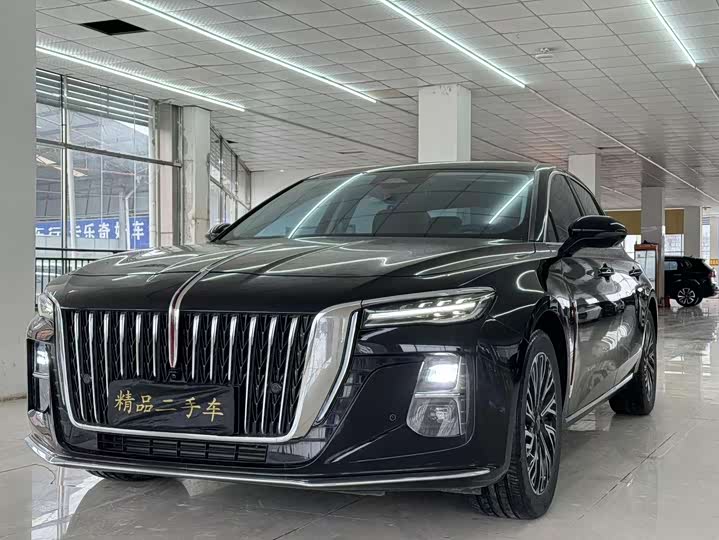 Фото 1 - Hongqi H5