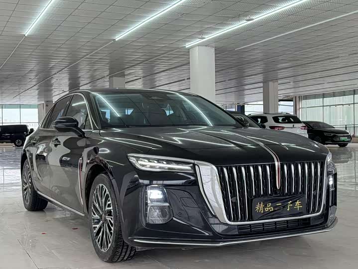 Фото 3 - Hongqi H5
