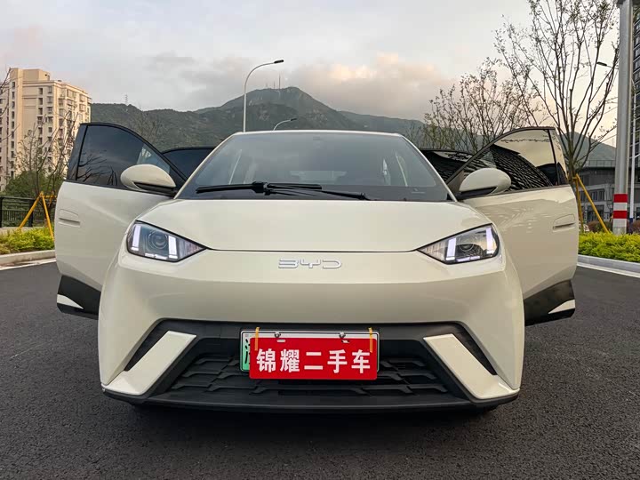 Фото 1 - BYD Seagull