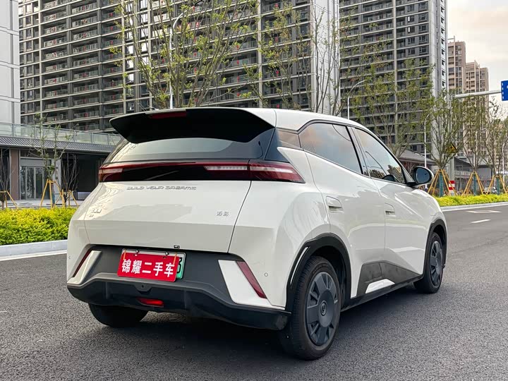 Фото 10 - BYD Seagull