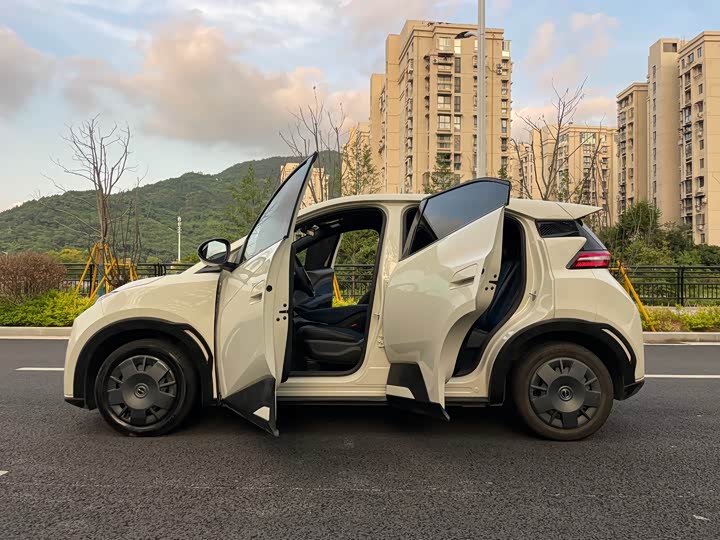 Фото 2 - BYD Seagull