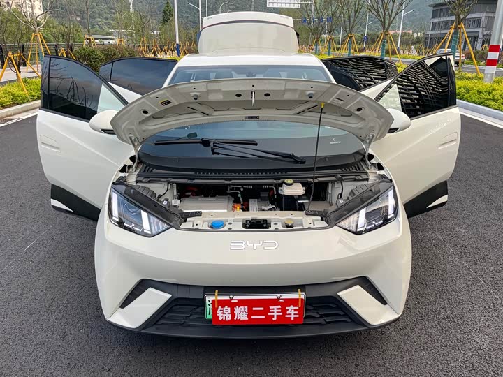 Фото 24 - BYD Seagull