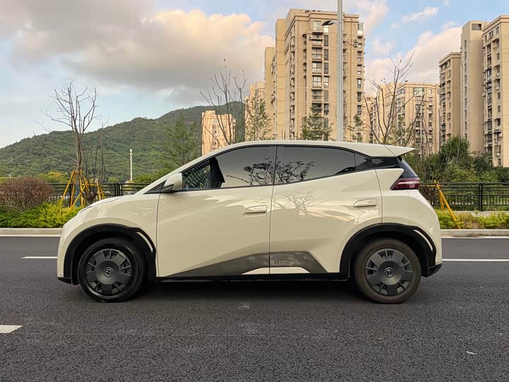 Фото 34 - BYD Seagull